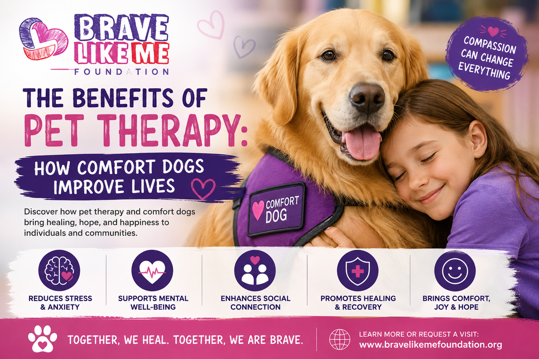 The Benefits of Pet Therapy How Comfort Dogs Improve Lives
