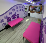 Brave Pets – Mobile Family Pet Reunion Center 