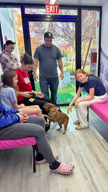 Brave Pets Reunions