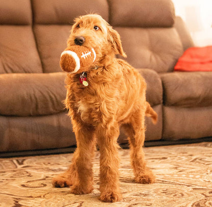 Dog Toy - ThoozyPet Football Plush 6.5"