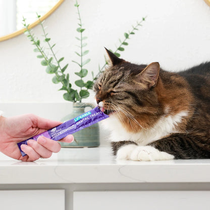 Cat Treats - Ark Naturals Kiss Me-Ow™ Chicken Lickable Cat Treat
