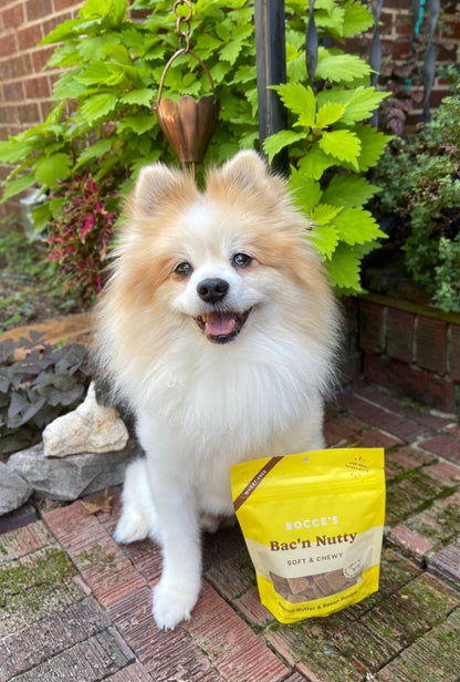 Dog Treats - Bocce's Bakery Bac'N Nutty Soft & Chewy