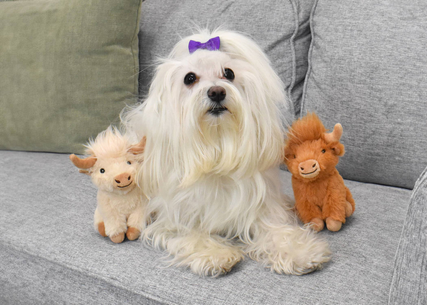 Dog Toy - Multipet Mini Highland Cow 5"